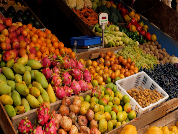 [보홀] 헤난 알로나 디럭스룸 3박4일