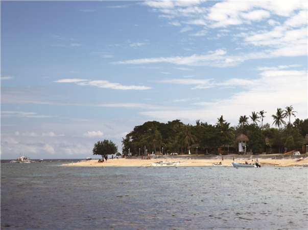 [보홀 / 솔레아 슈페리어] 거북이스노쿨링+돌핀왓칭 3박4일