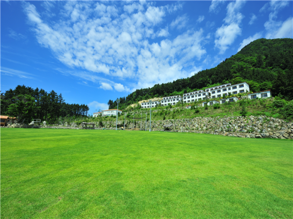 [포항영일만신항] 울릉도 독도4일 ＜대형크루즈/선박텔/라페루즈리조트/육로A,B코스/올식사포함＞