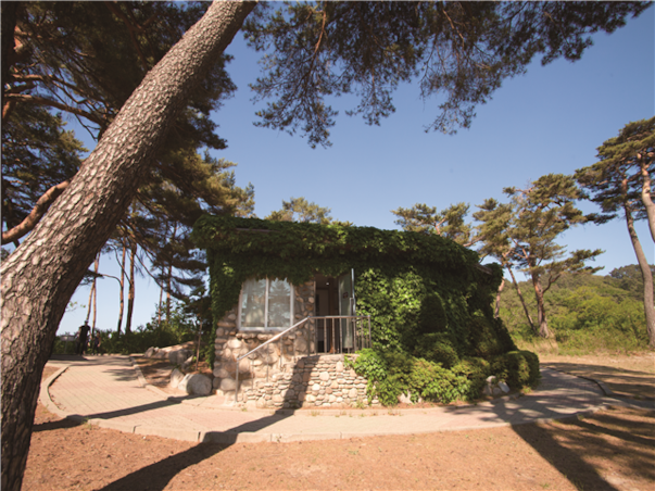 강원도 고성 당일여행 ＜지자체지원특가/해파랑길＞