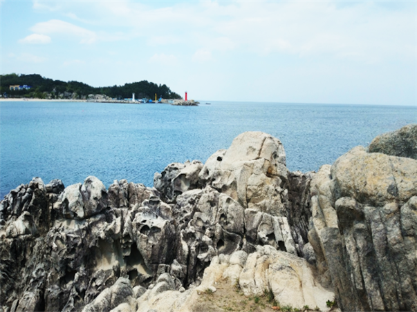 강원도 고성 당일여행 ＜지자체지원특가/해파랑길＞