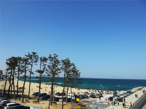 [집중모객]강원도 강릉 동해 당일여행 ＜해안선기차여행＞