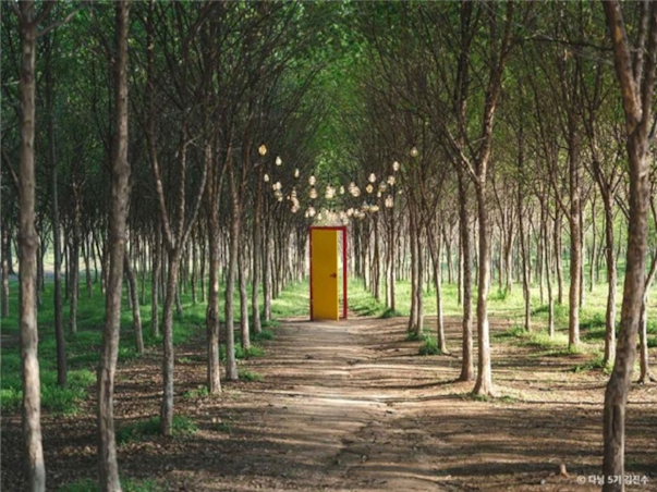 [2인부터단독행사][서해금빛열차+예산관광택시] 충청도 예산 당일여행