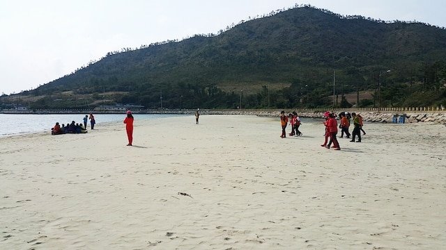 [KTX/목포항] 홍도 흑산도 비금도초도 3일 ＜쾌속선/모텔급/홍도유람선/비금도초도 육로관광＞