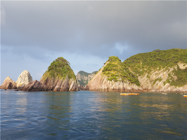 [SRT/목포항] 홍도 흑산도 비금도초도 3일 ＜쾌속선/모텔급/홍도유람선/비금도초도 육로관광＞