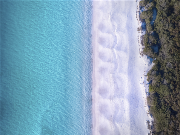 [무조건출발보장] [메가세일] [게릴라특가] 시드니 일주 6일 (전일정4성)