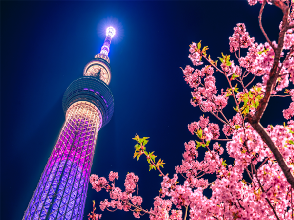 [출발확정][실속] 도쿄/요코하마/오다이바 4일 (1일자유/선택관광)