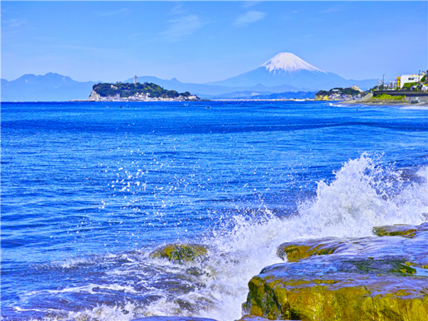 [메가세일][실속픽_하코네] 시즈오카/하코네/도쿄 4일(1일자유/1일대욕장/세미더블)