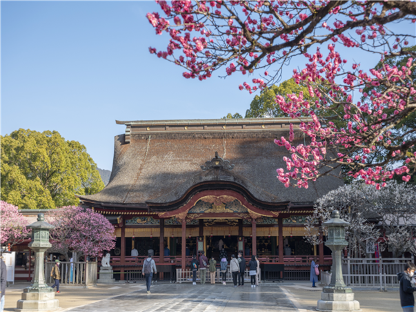 [출발확정][큐슈로] 단풍빛 가을부터 눈부신 겨울까지 후쿠오카 리조트+온천 4일(가이세키포함 특식4회+간식3회+노미호다이특전)