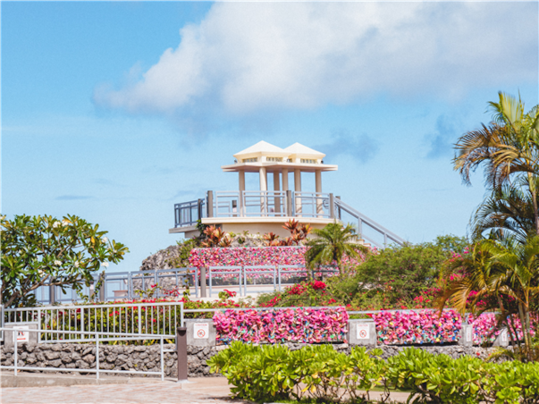 [아침출발]괌 크라운플라자 오션뷰룸 3박4일＜호텔조식/아일랜드관광/슈퍼아메리칸서커스＞