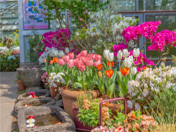 [섬속의힐링] 제주도 우도 3일 ＜노옵션/특식4회/곶자왈/사려니숲길/신신호텔＞