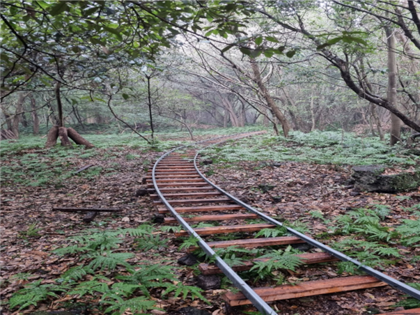 [광주출발][모두단독] 제주도 SNS핫플 3일 ＜노팁/노옵션/스누피가든/승마/4명부터출발확정＞