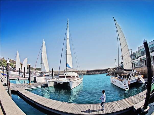 [광주출발][모두단독] 제주도 SNS핫플 3일 ＜노팁/노옵션/스누피가든/승마/4명부터출발확정＞