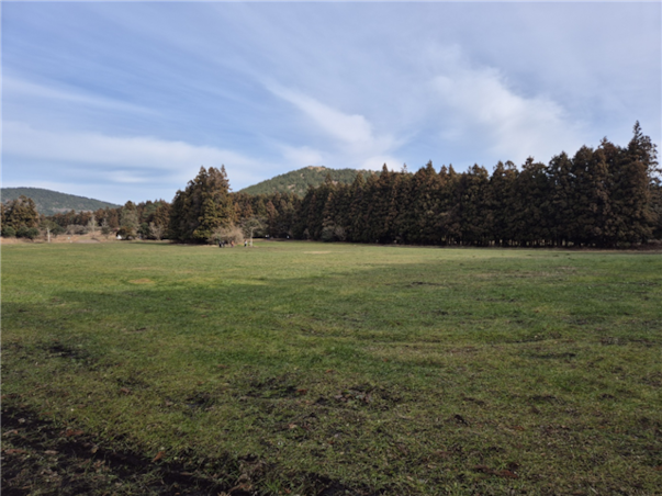 [힐링BEST] 제주도 3일 ＜카멜리아힐/안돌오름/족욕체험/관광급/아시아나＞