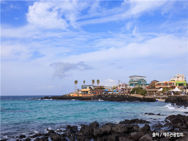 [대구출발][모두단독] 제주도 가족추천 3일 ＜노팁/노옵션/981파크/테마파크/4명부터출발확정＞