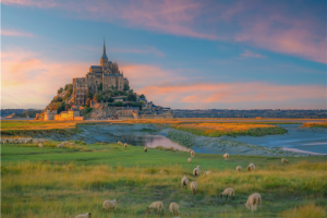 프랑스 일주7일＜몽생미셀/베르사유 궁전/노르망디 지역/빈센트 반 고흐 투어/생말로＞