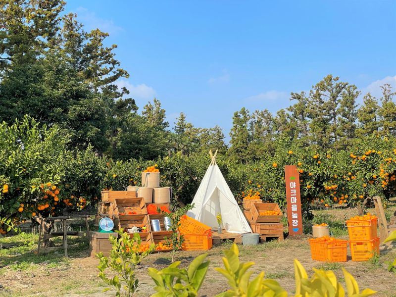 [풀빌라] 야크마을