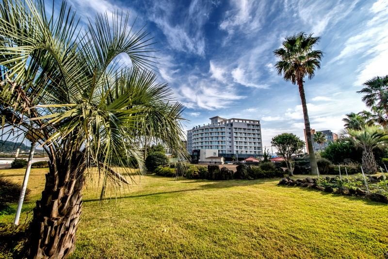 [3성급] 아이미 제주비치호텔W