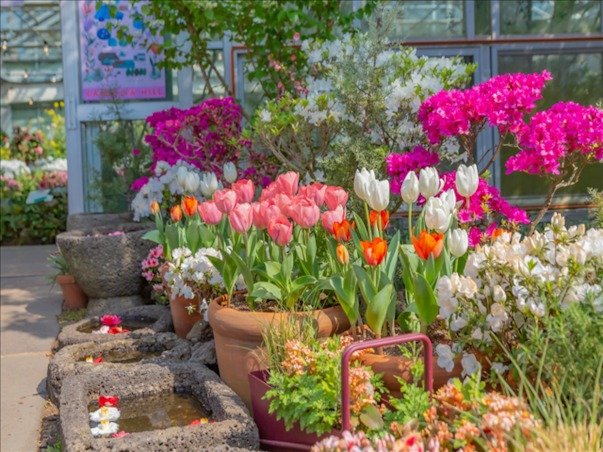 [이스타항공 특가] [힐링BEST] 펠롱펠롱 제주 3일 