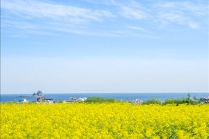 [광주출발][제주한섬] 제주도 가파도 4일 