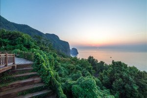 [포항영일만항] 울릉도 독도 3일